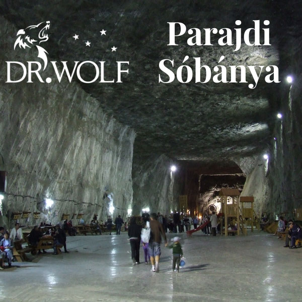 cikk-parajdi-sobanya.jpg